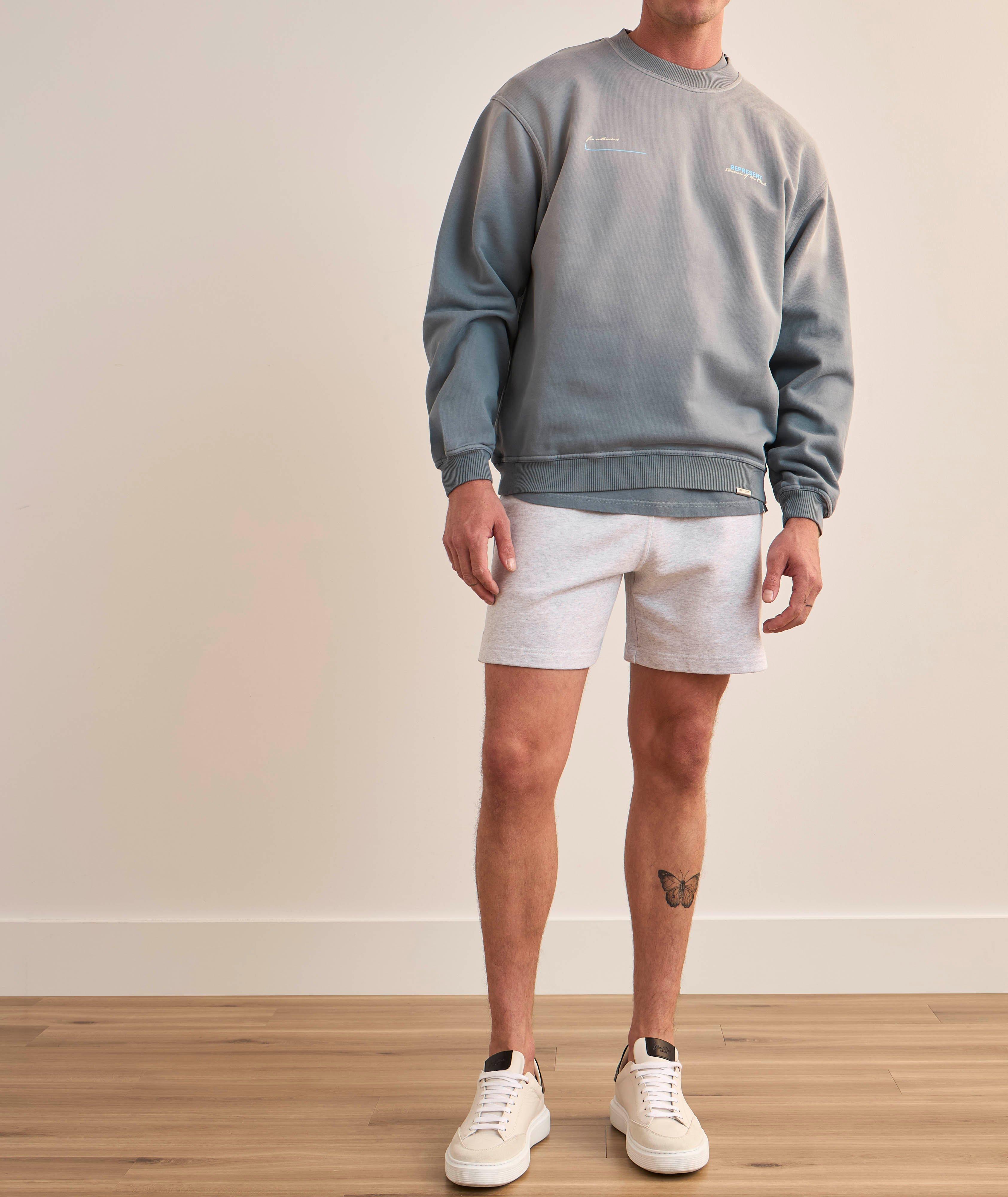 Pull en coton, collection Patron of the Club image 6