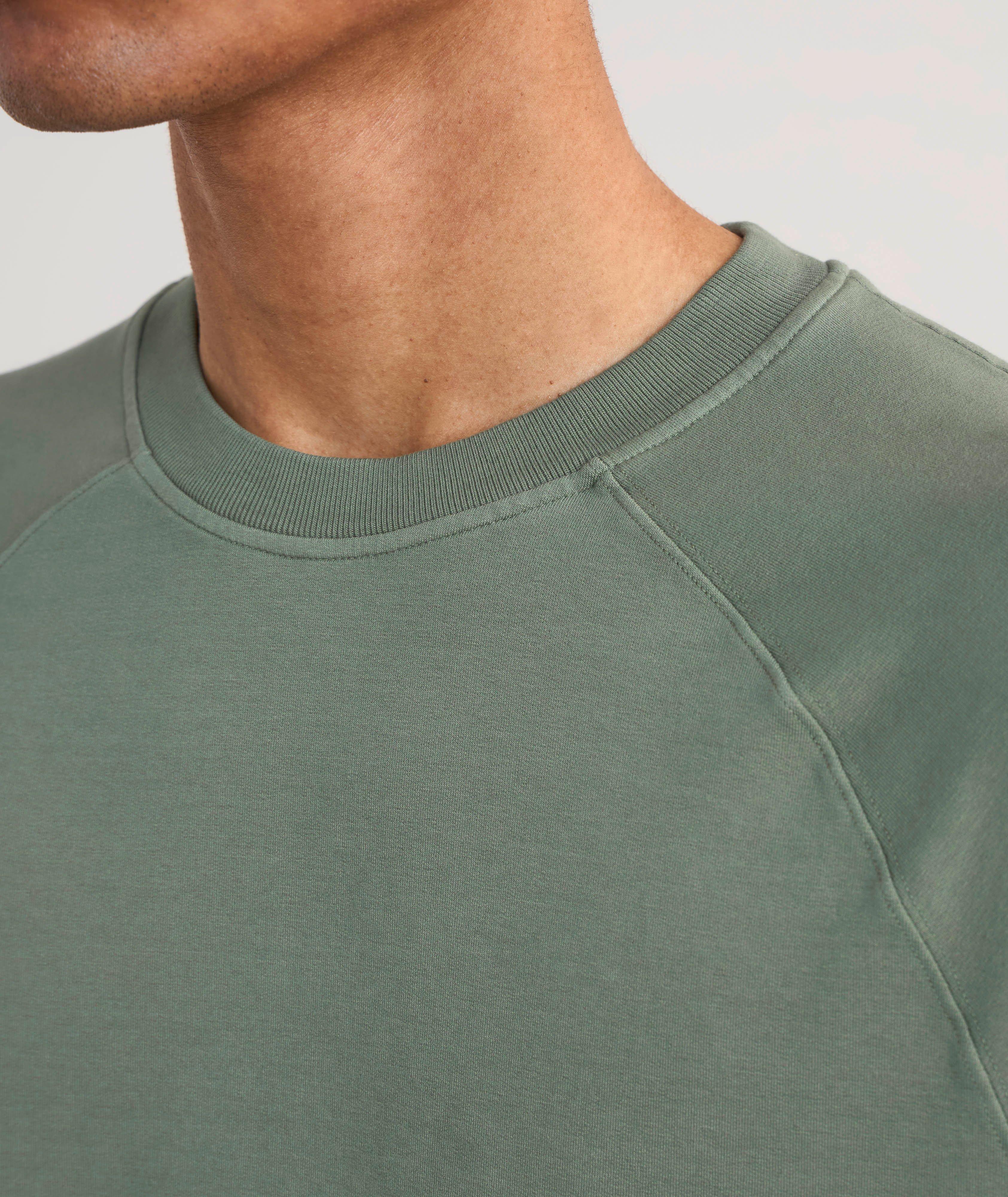 X-Soft Garment-Dyed Raglan Sweatshirt image 3