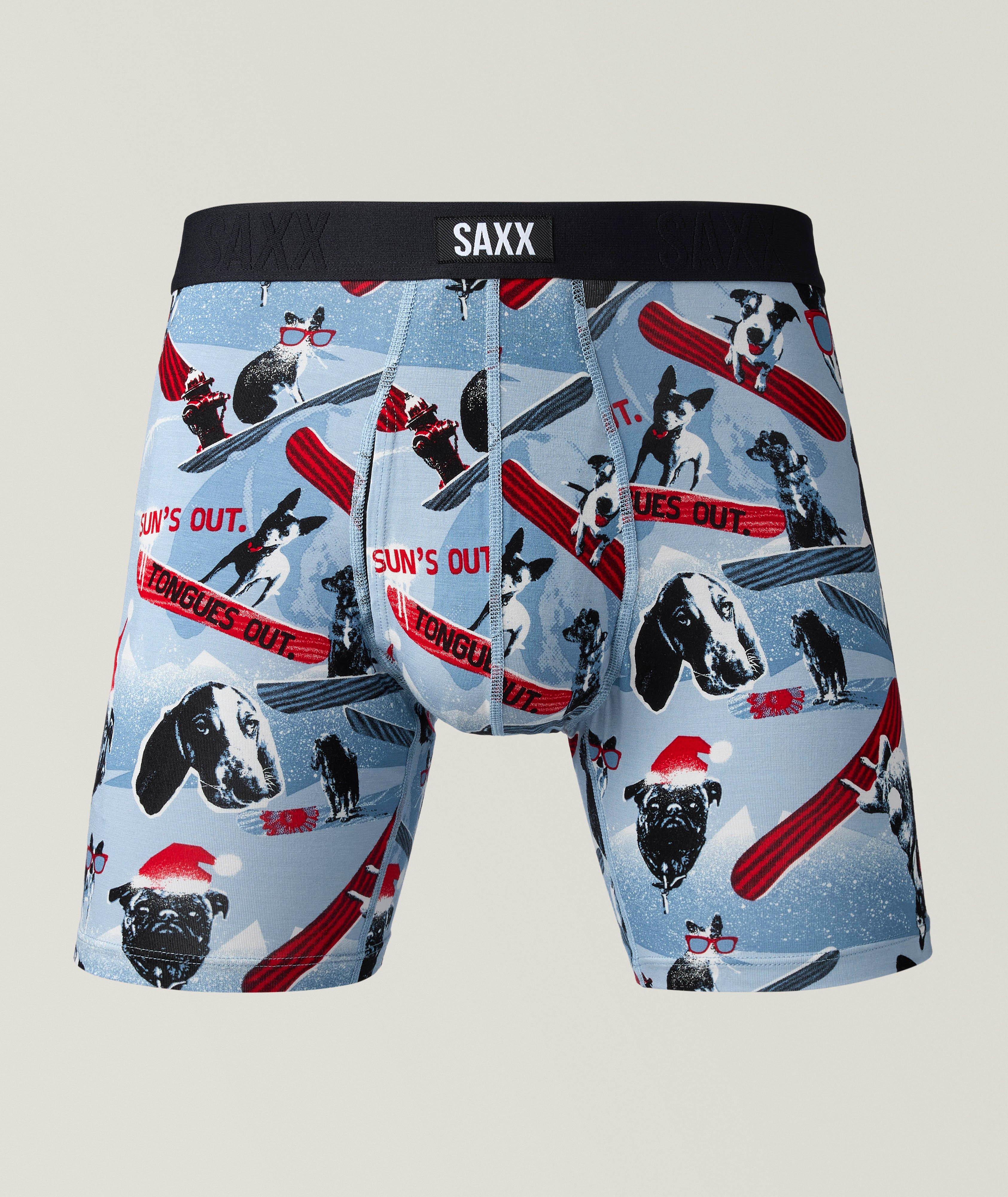 Boxer Winter Dogs Vibe Xtra image 0