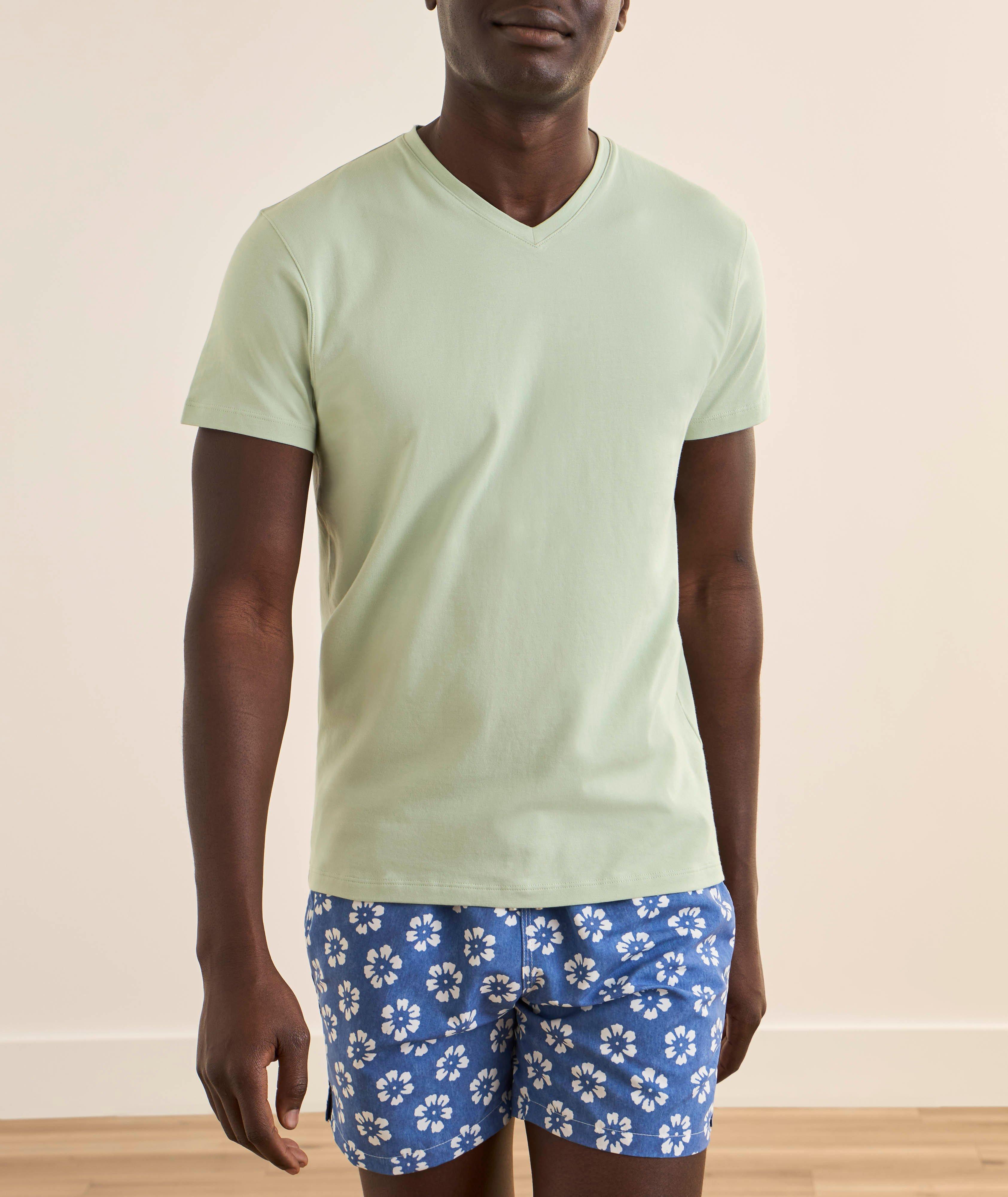 Stretch-Pima V-Neck T-Shirt image 1