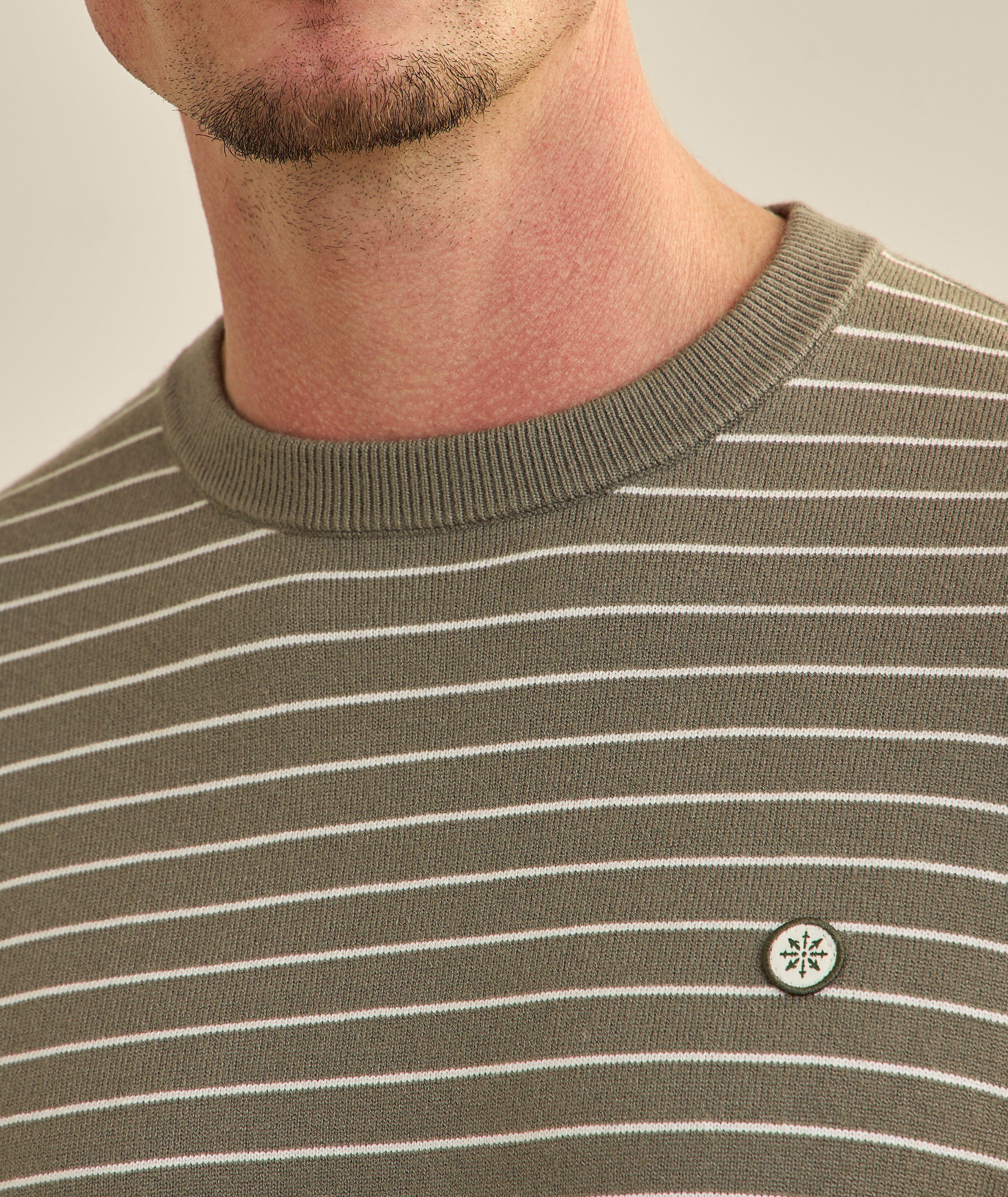 Striped Raglan Crewneck Sweater image 3