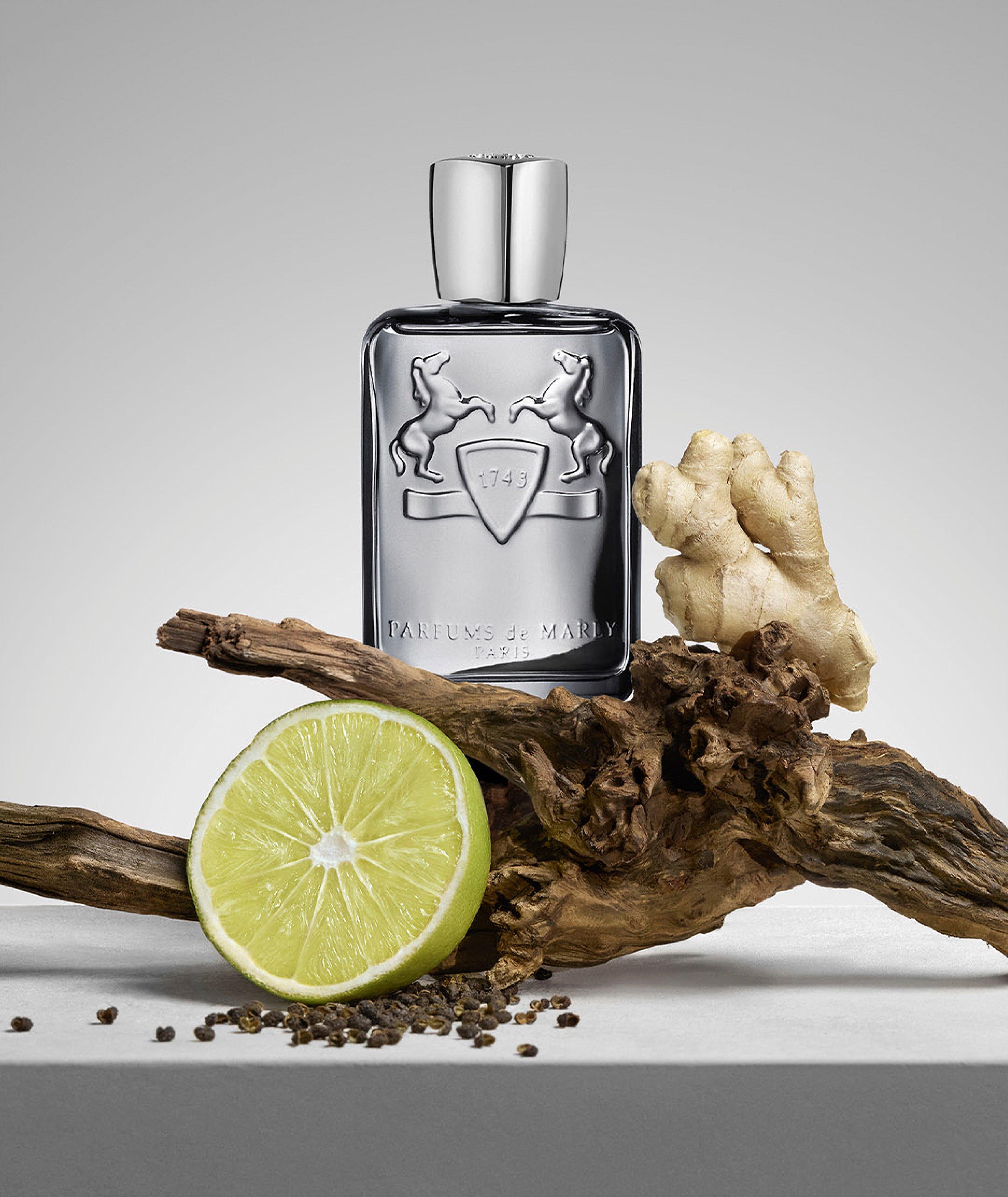 Castely Eau de Parfum 125ml  image 2