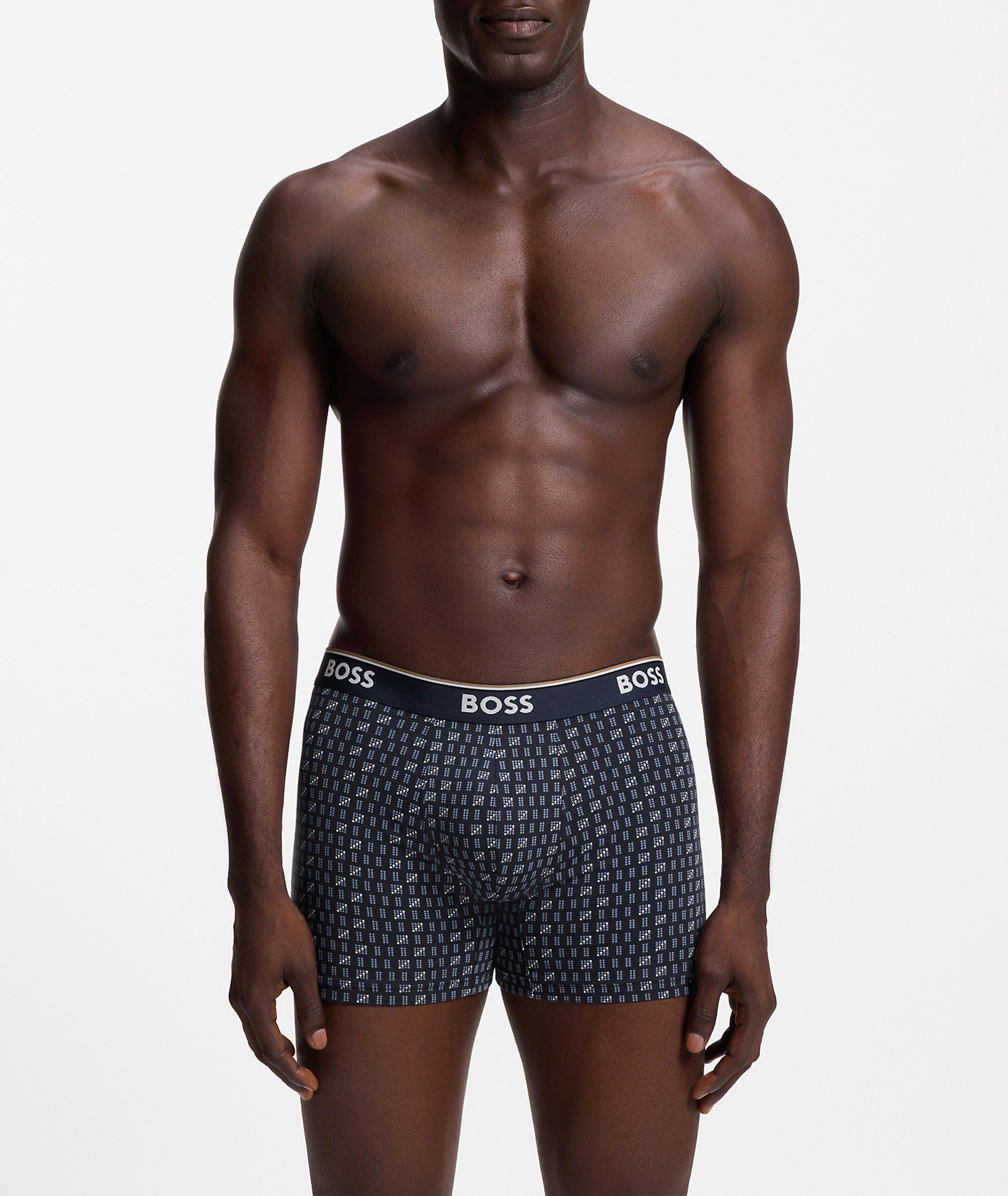 BoxerBr 3P Power Des 10276514 01 image 1