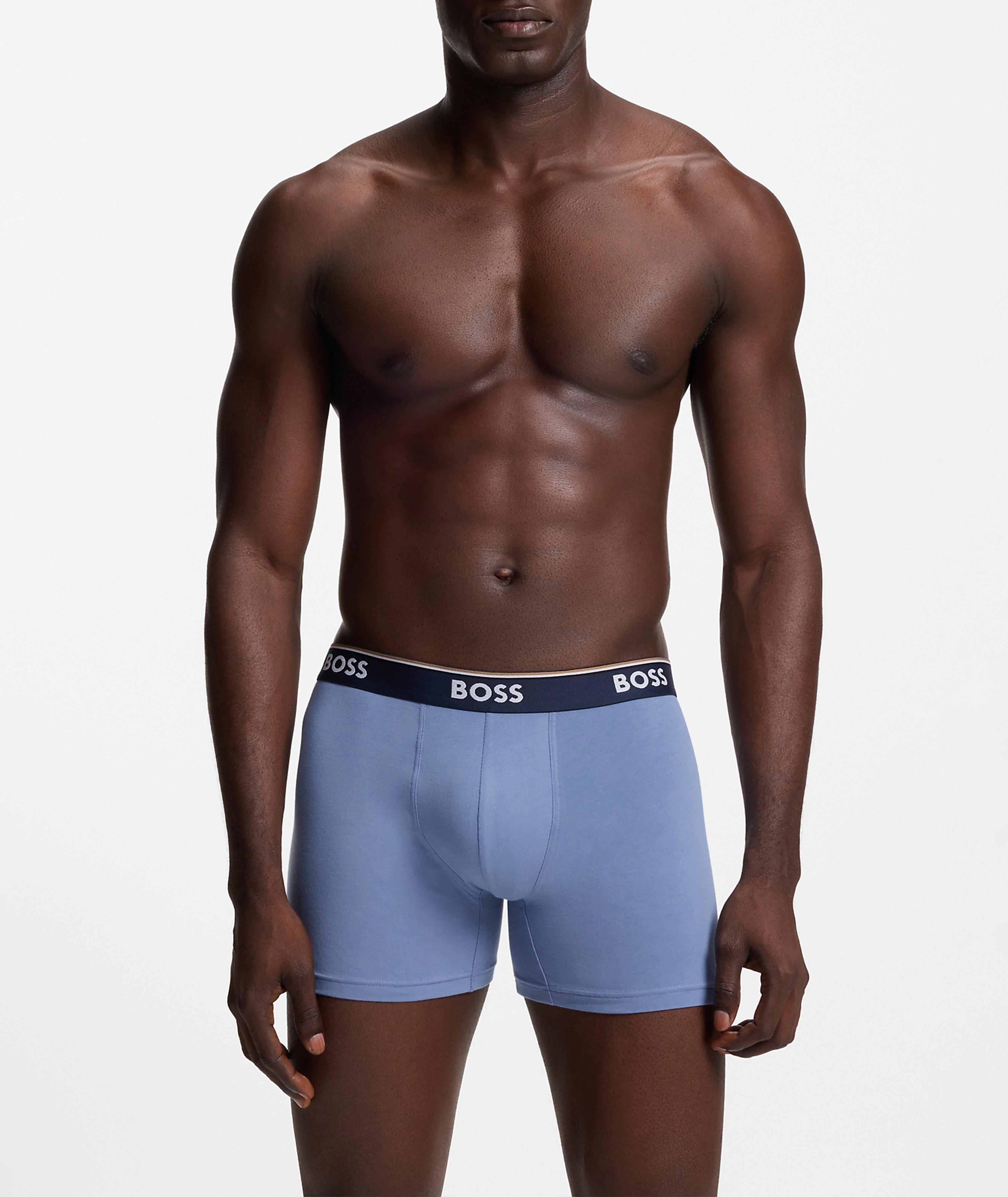 BoxerBr 3P Power Des 10276514 01 image 2