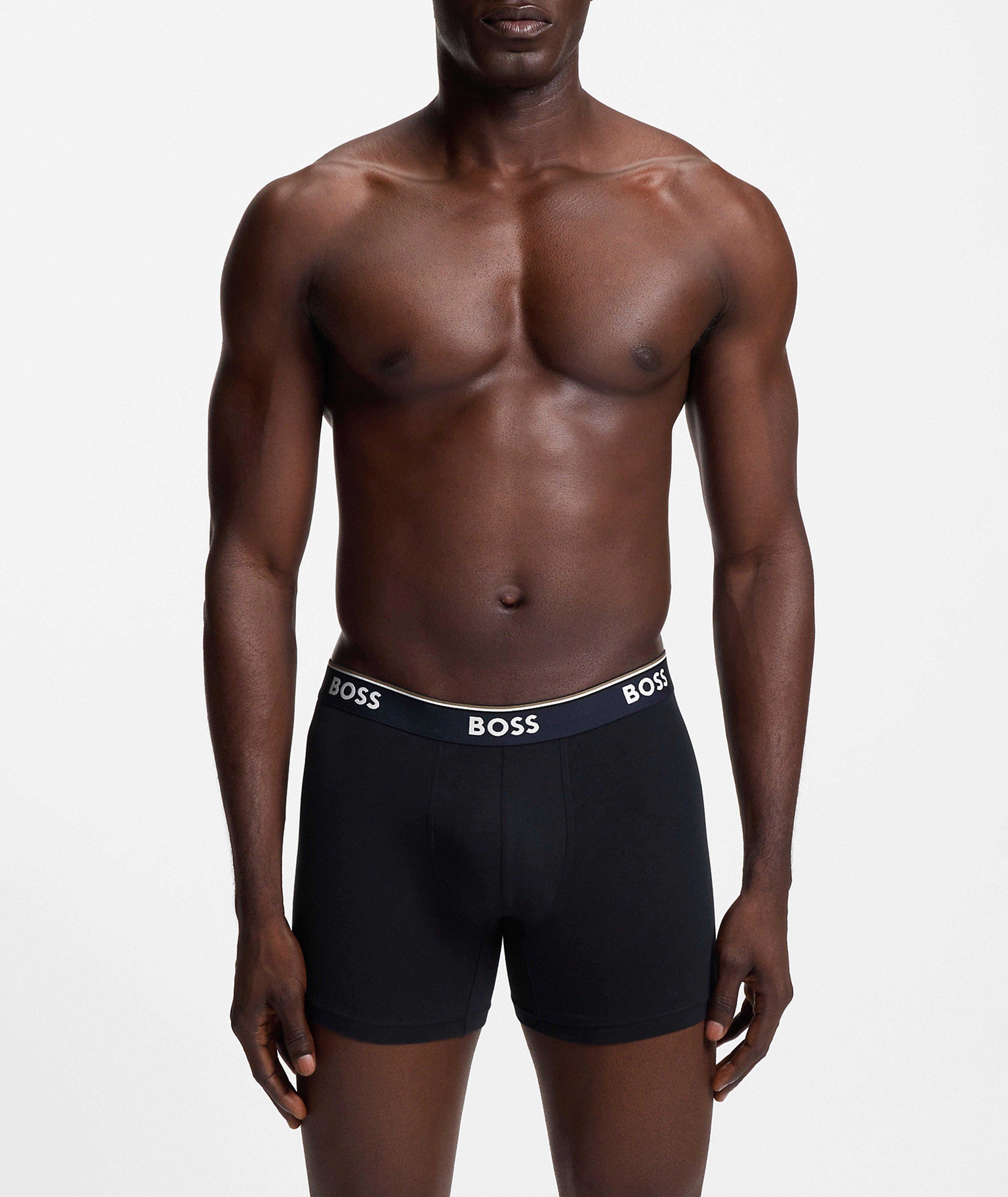 BoxerBr 3P Power Des 10276514 01 image 3