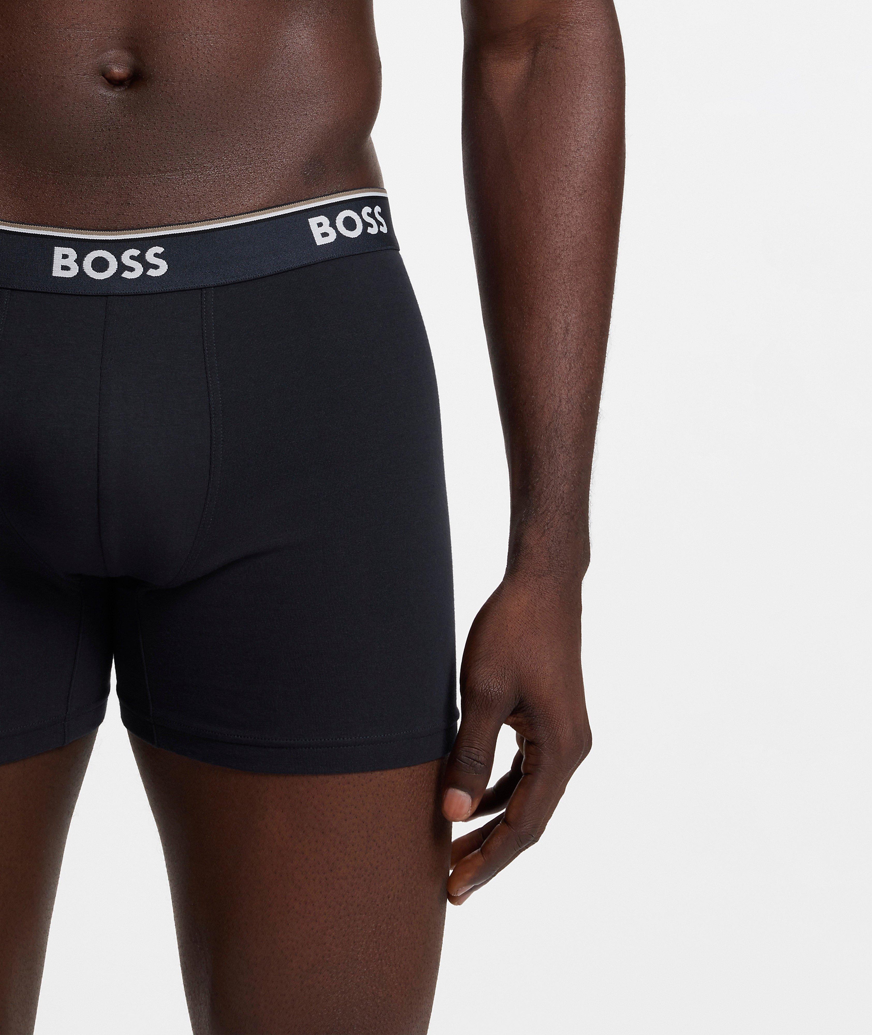 BoxerBr 3P Power Des 10276514 01 image 5