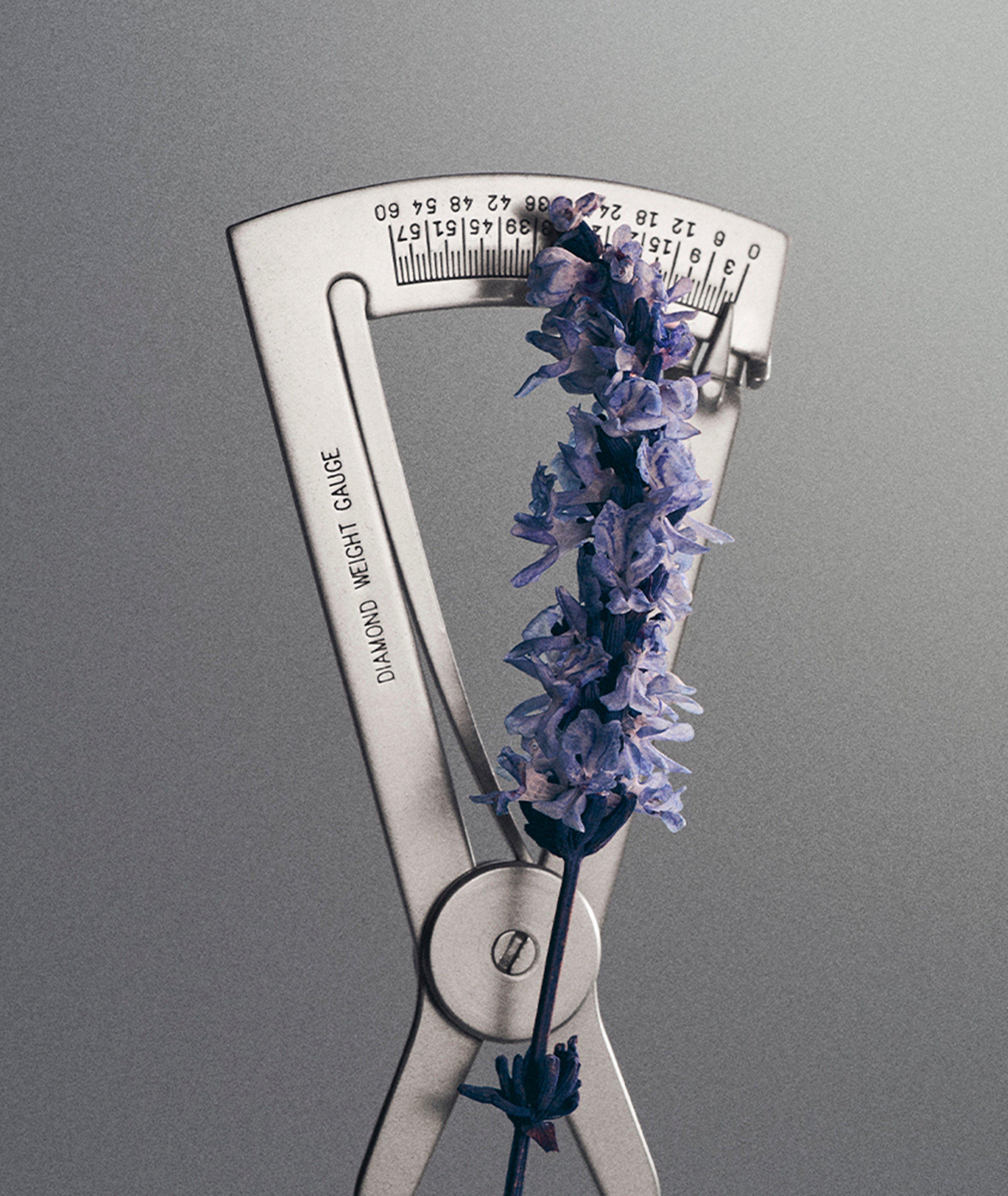 Iris Debonair Eau de Parfum 100ml image 4