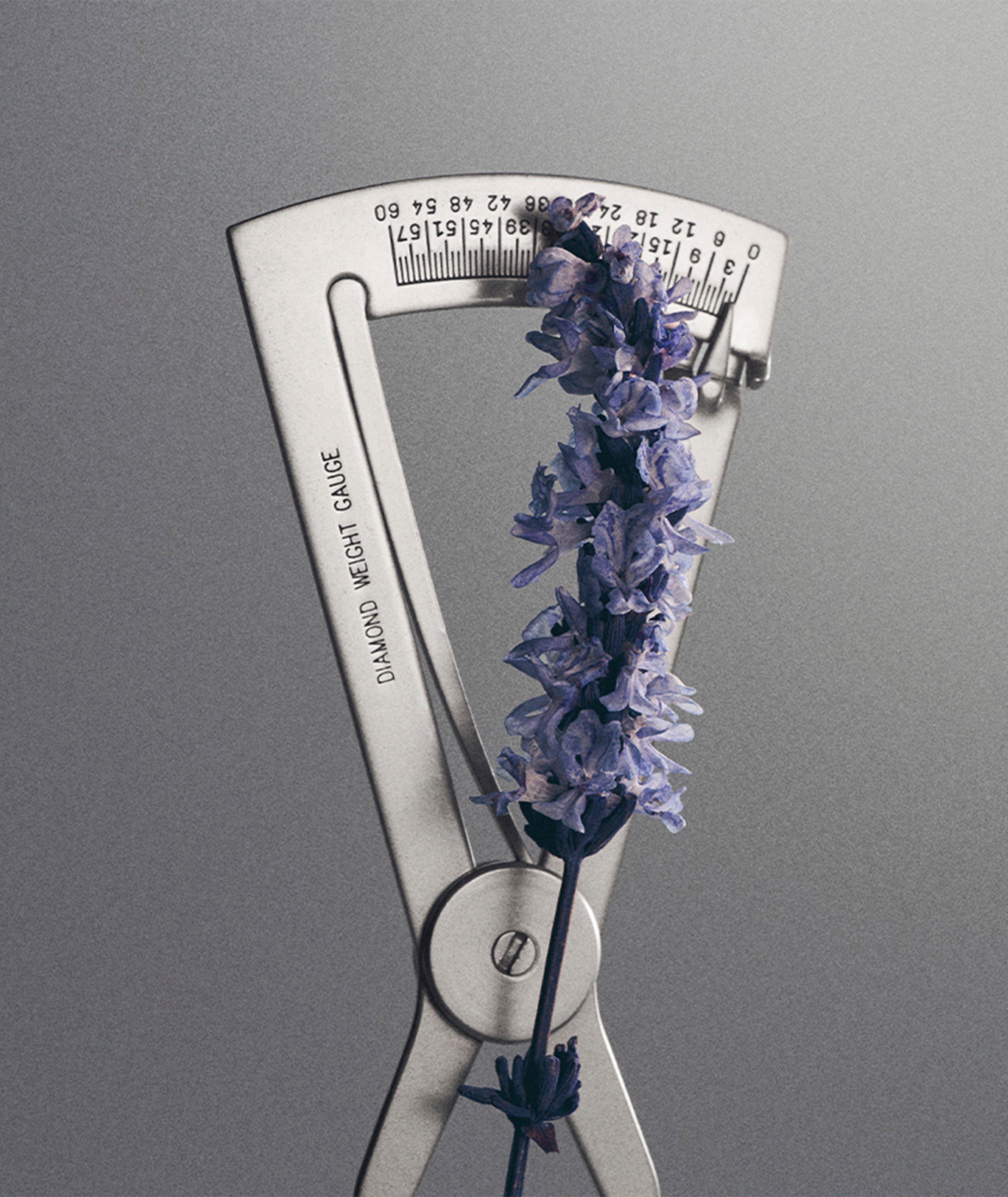 Iris Debonair Eau de Parfum 50ml image 4