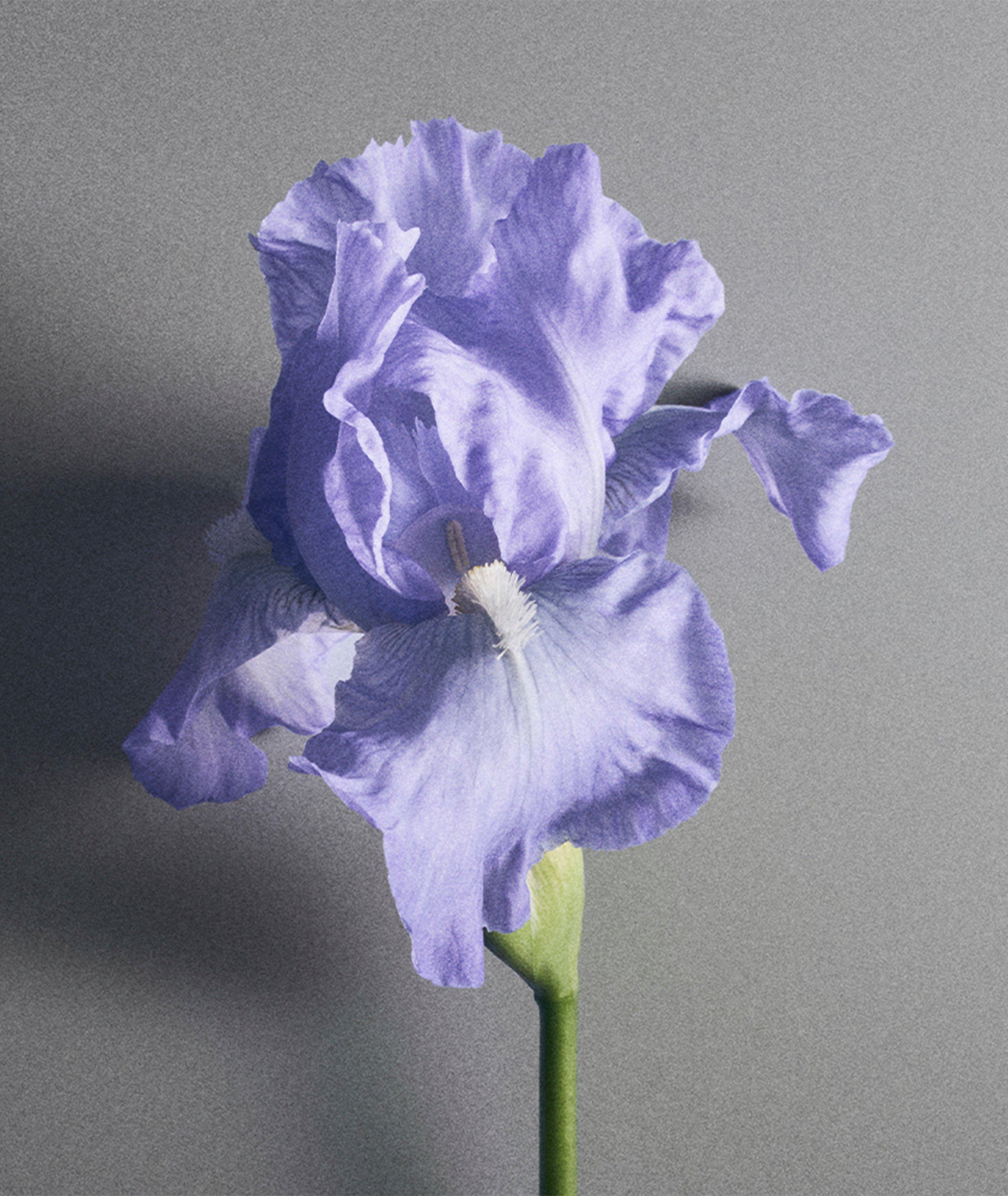 Thumbnail to select image 6