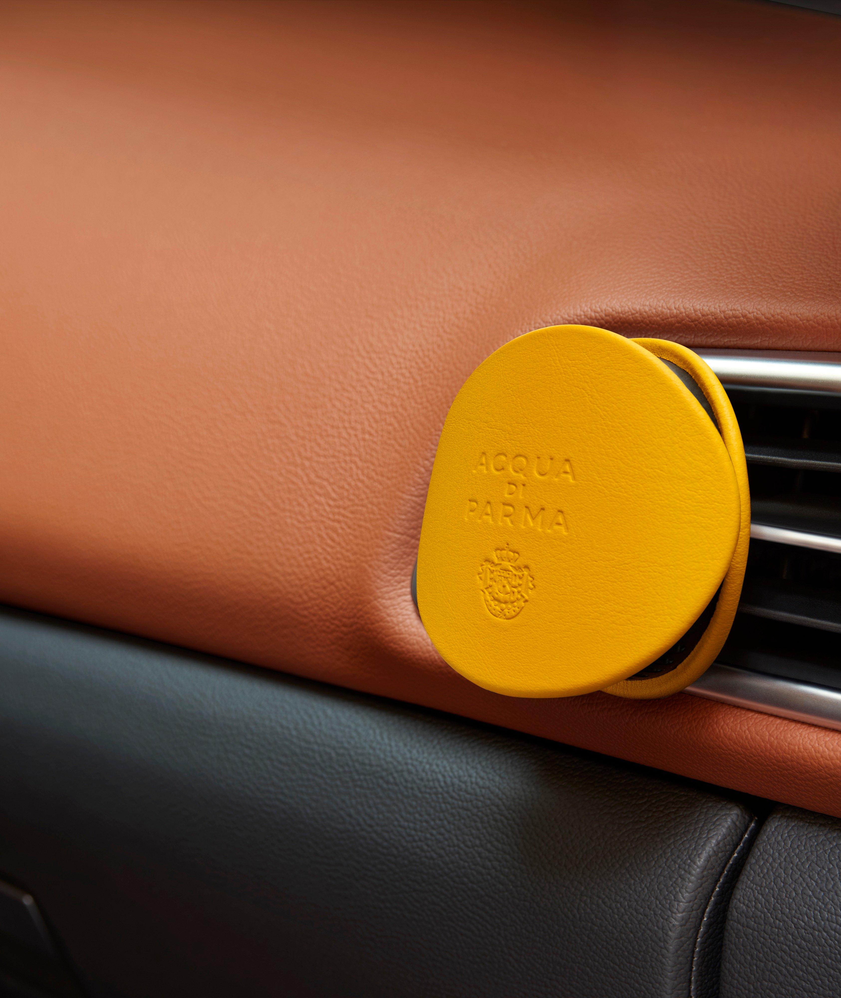 Leather Car Diffuser Case image 3