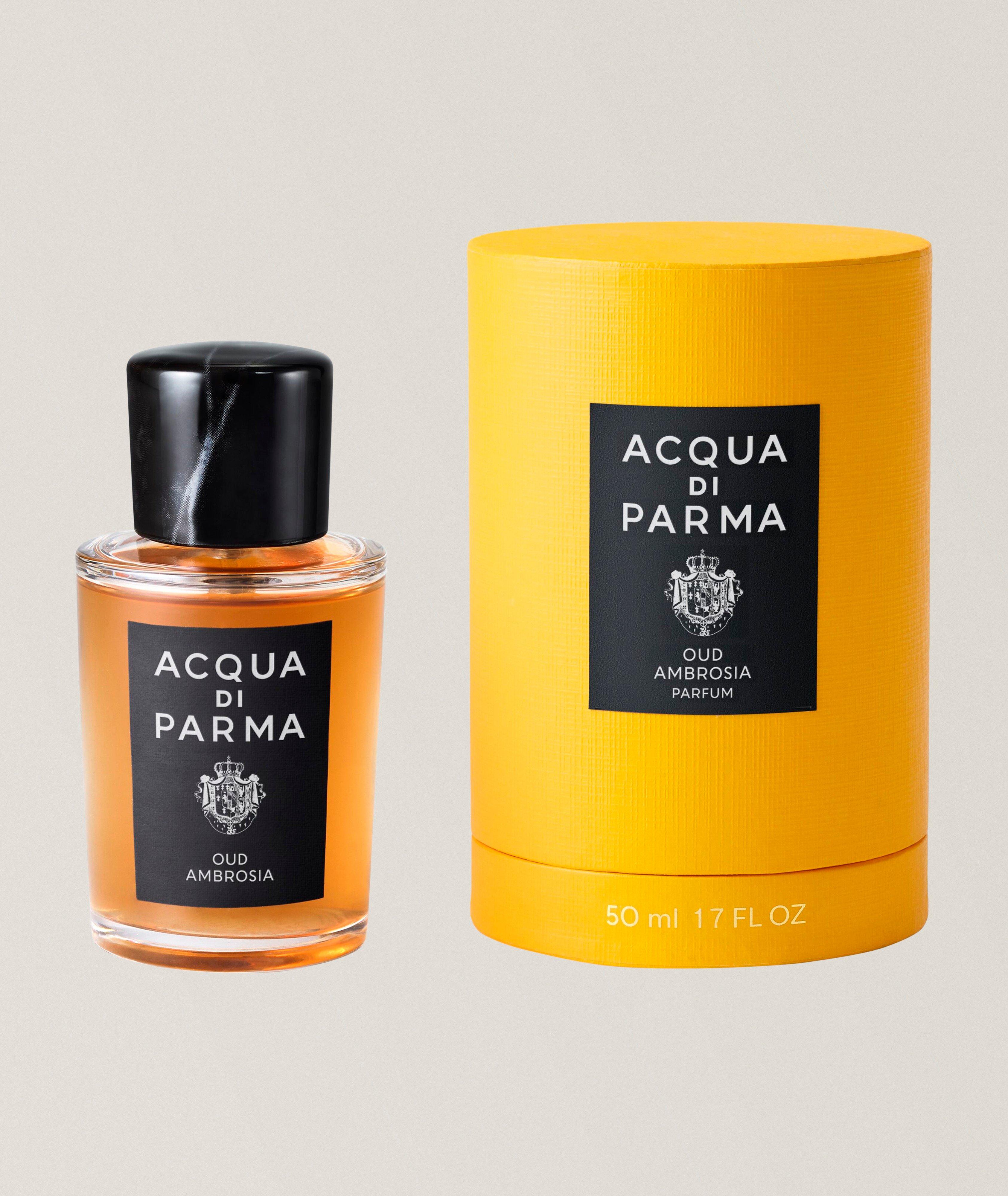 ADP SIG. OUD AMBROSIA 50ML image 3