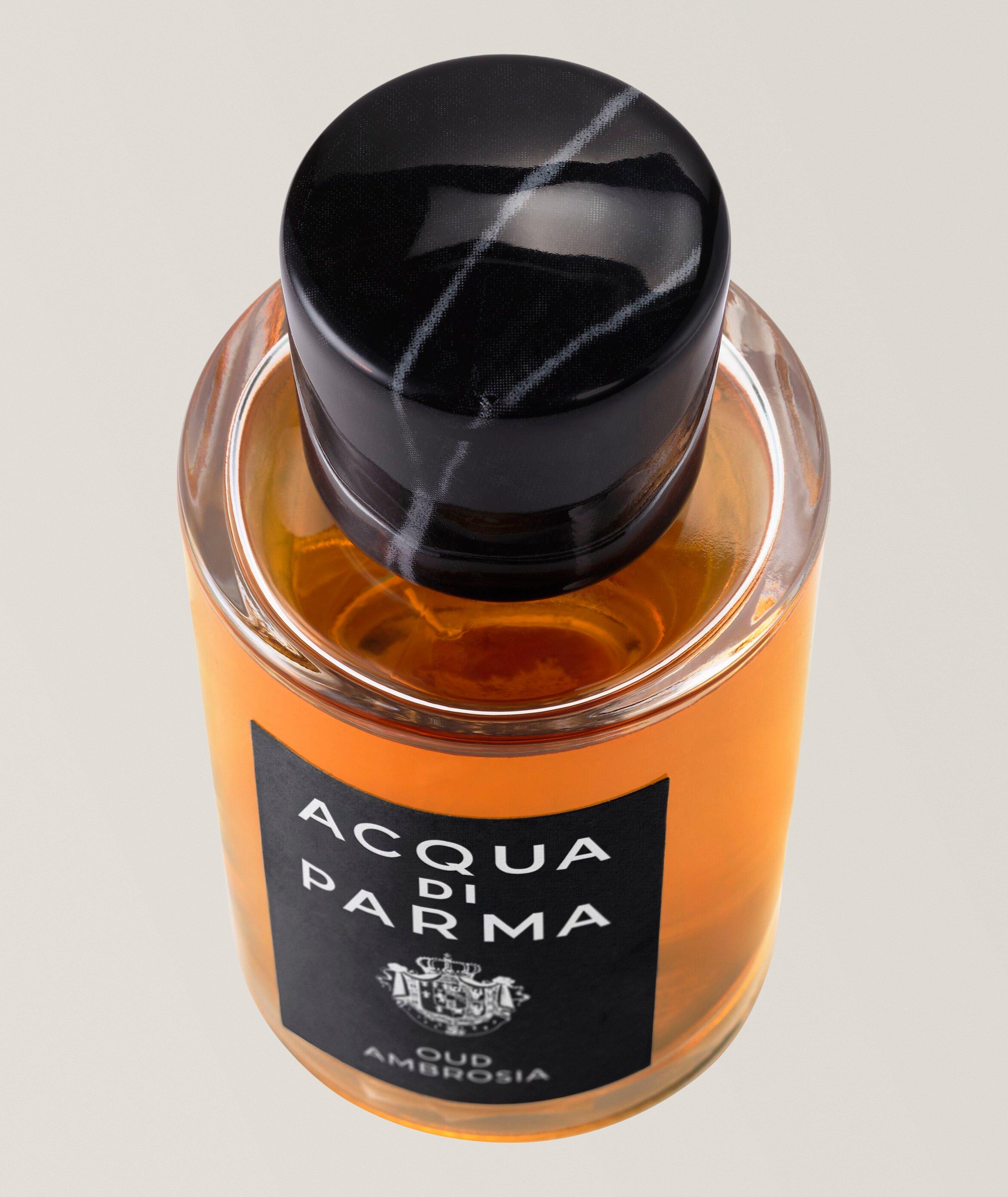 ADP SIG. OUD AMBROSIA 50ML image 4