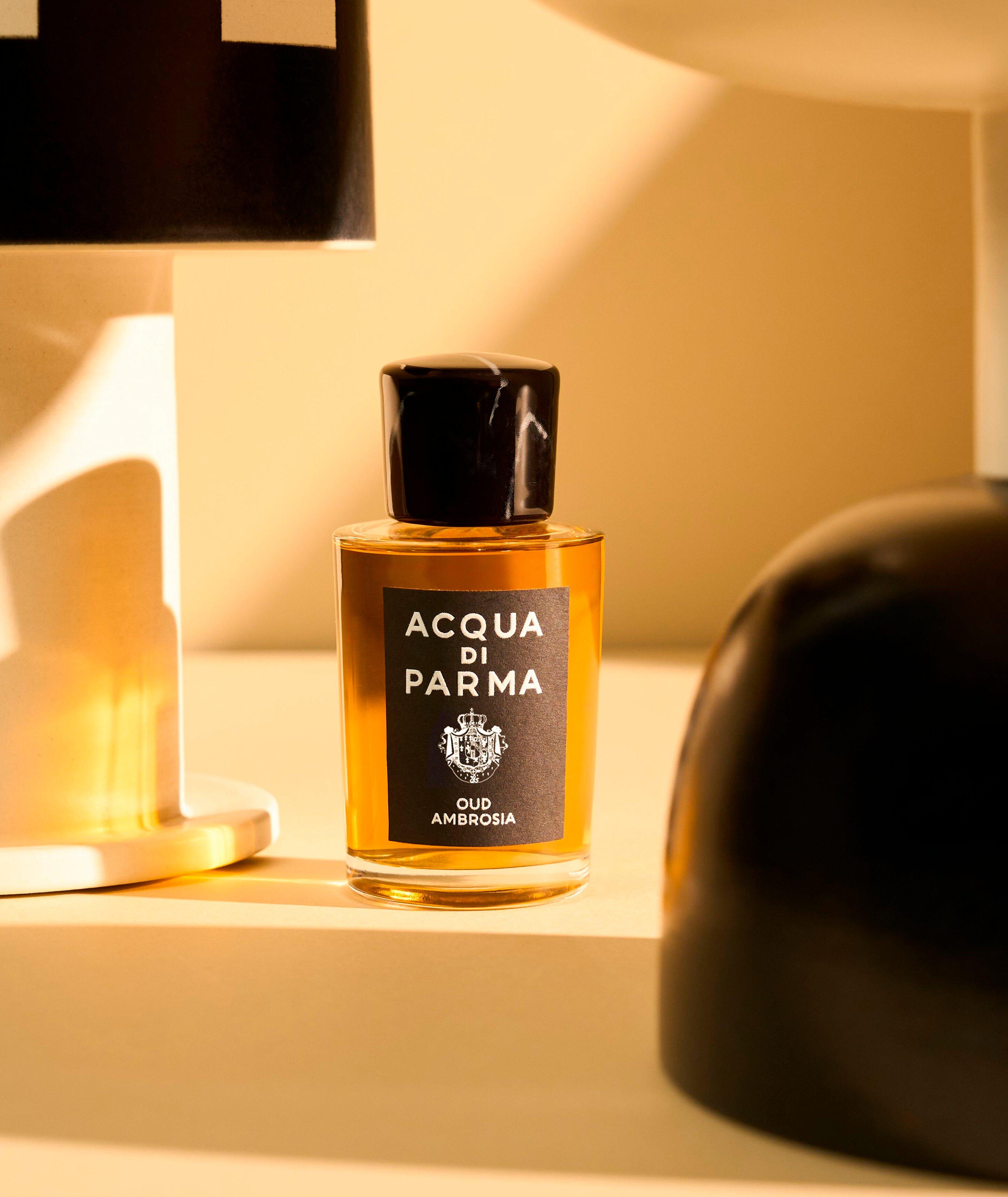 ADP SIG. OUD AMBROSIA 50ML image 6
