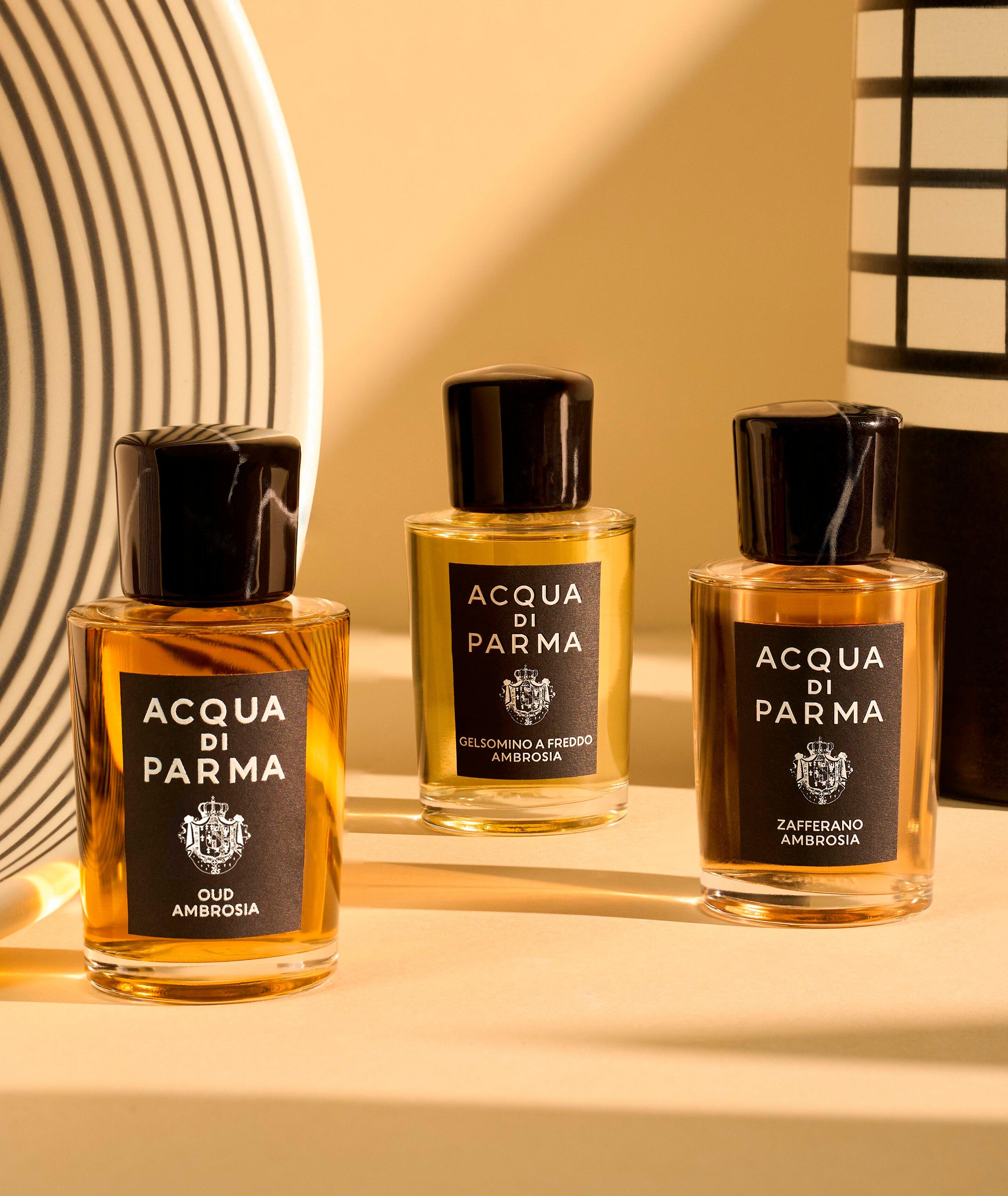 ADP SIG. OUD AMBROSIA 50ML image 7