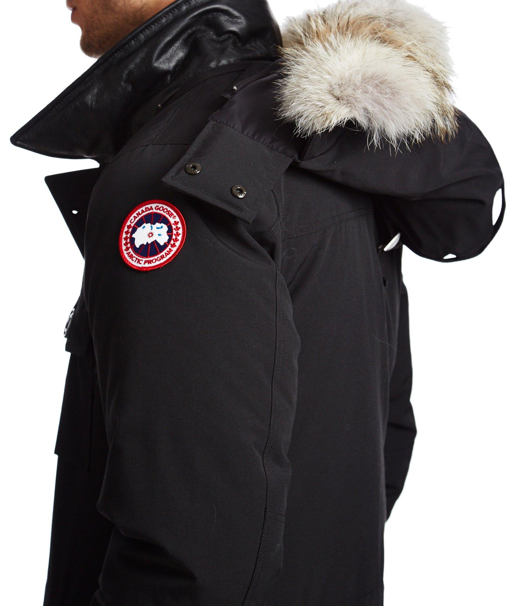 Banff Parka image 2