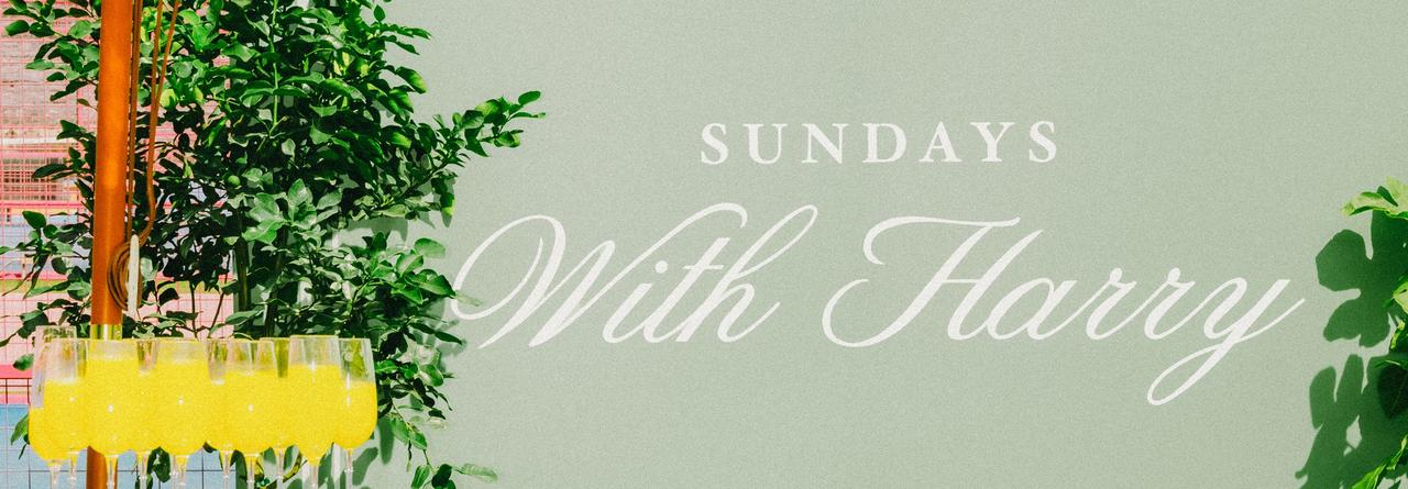 Dimanches avec Harry 
