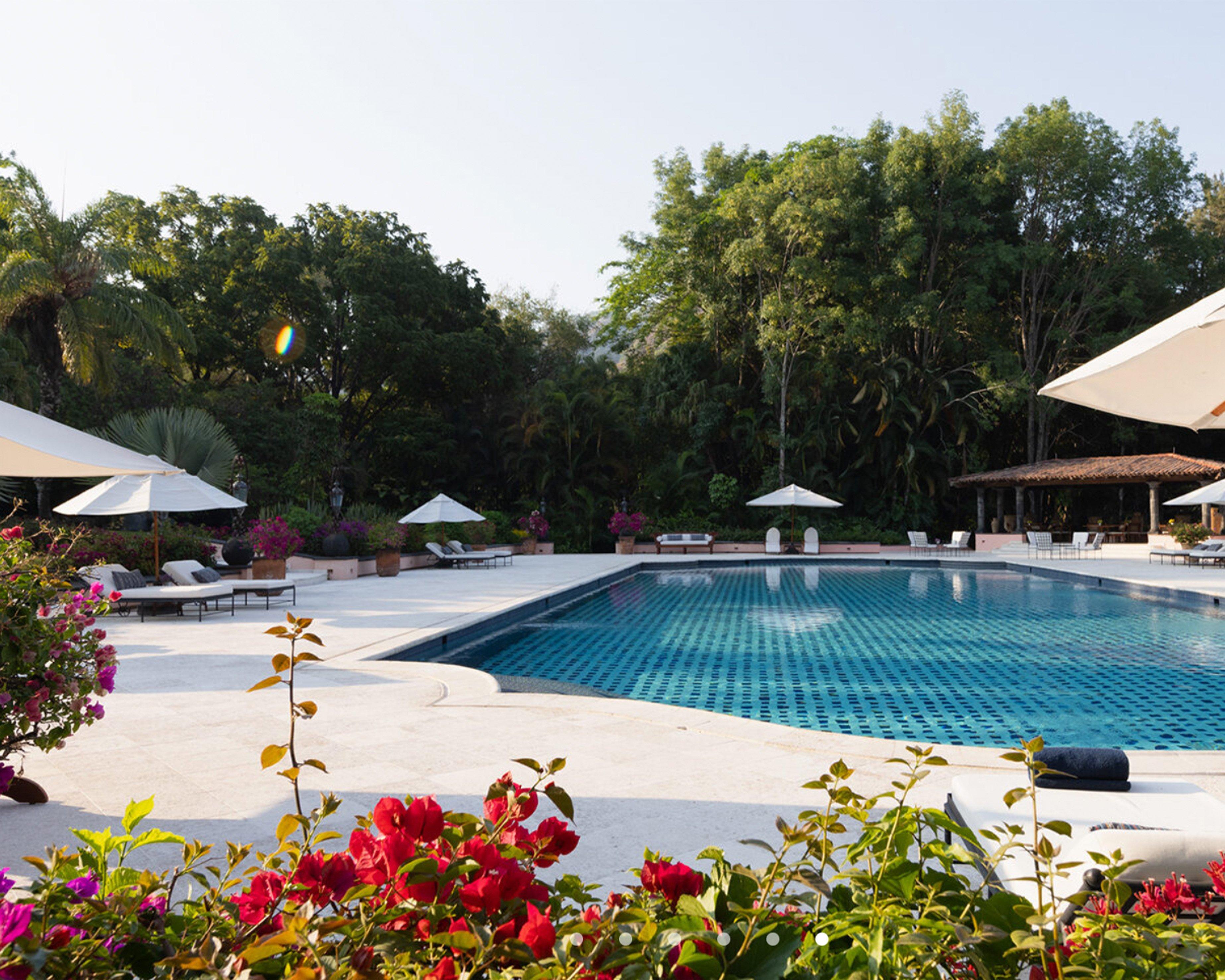 A pool with umbrellas and flowers surrounding it and a tree in the background