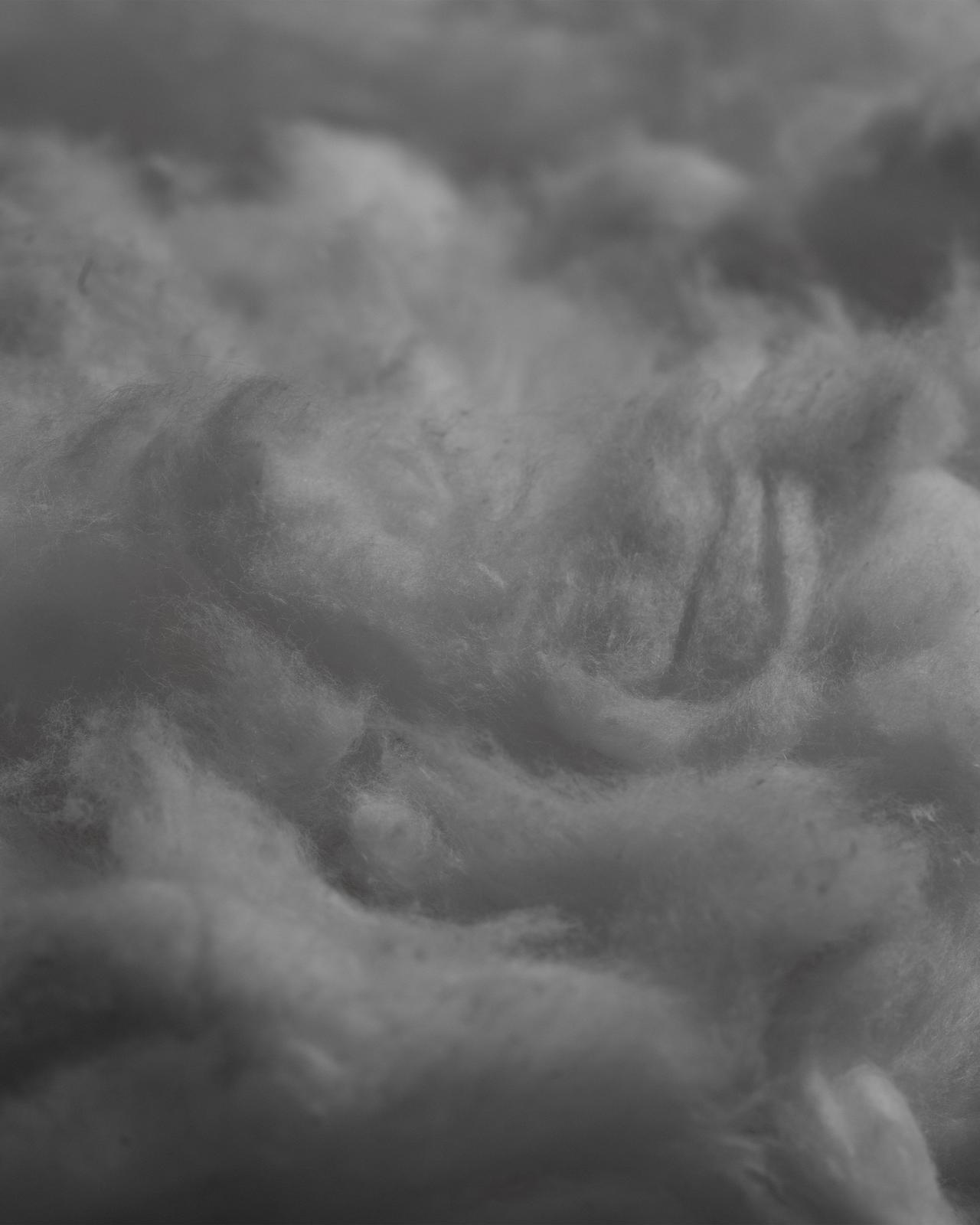 Gros plan sur la texture de la laine brute