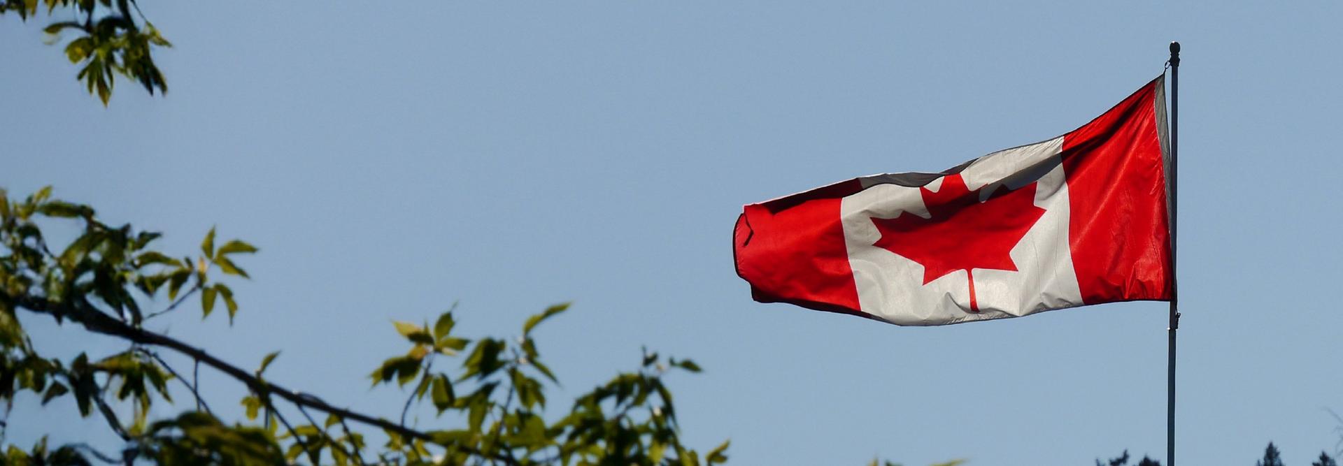 Canada Day Dressing