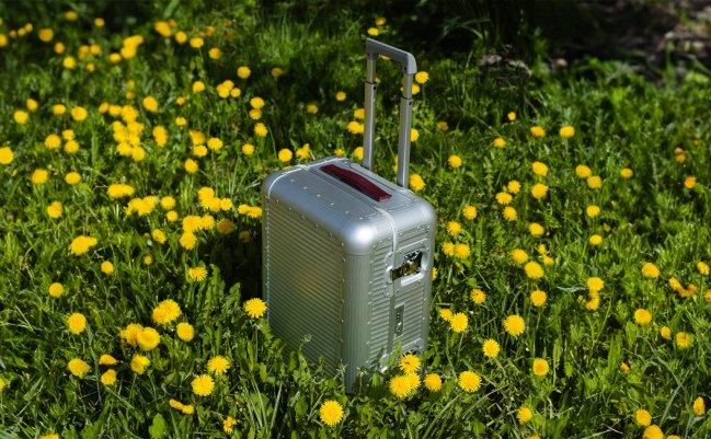 Une valise cabine argentée unique dans un champ de fleurs