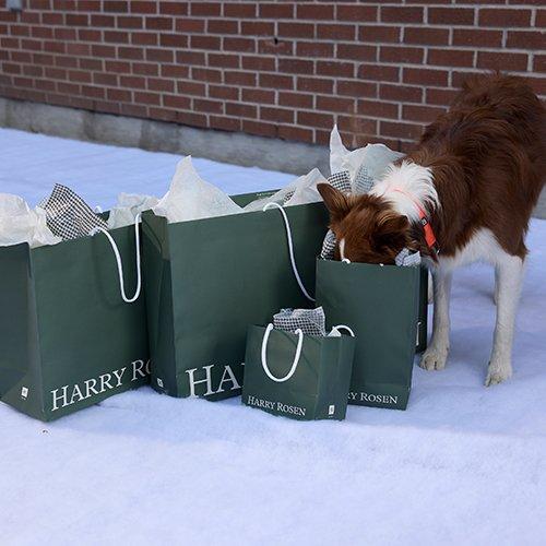 Un chien fouillant dans les sacs-cadeaux Harry Rosen illustrant le Guide de Harry pour faire des achats de cadeaux.