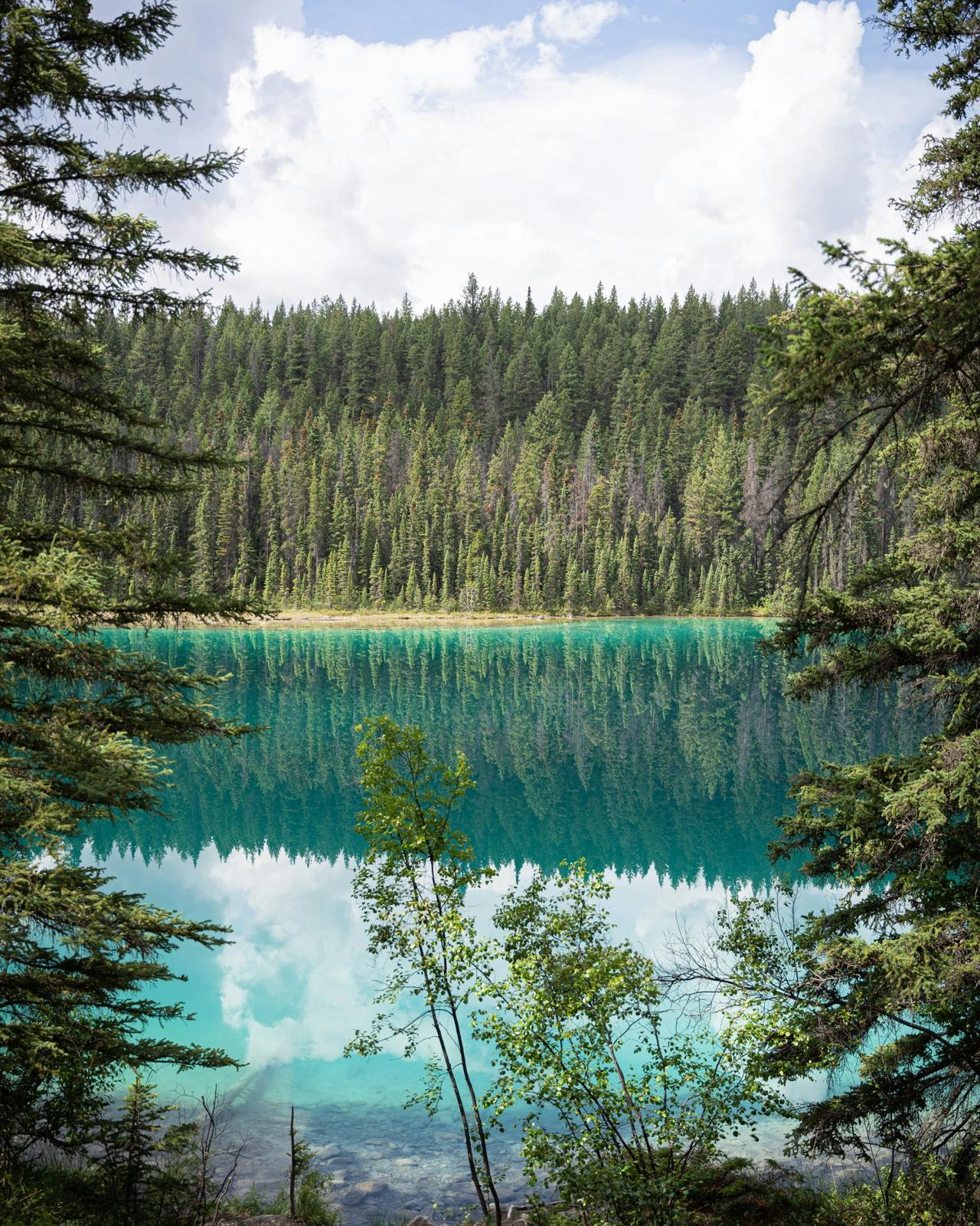  Valley of the Five Lakes in Jasper National Park, surrounded by dense evergreen forest and towering mountains