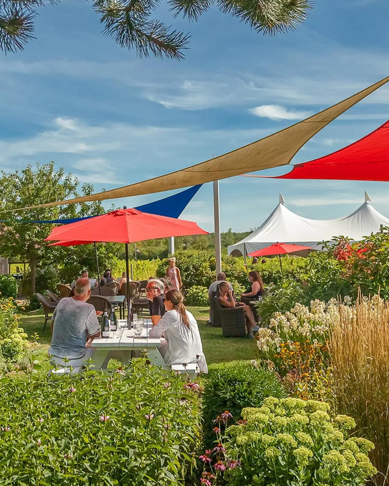 outdoor sitting area where customers enjoy wine testing
