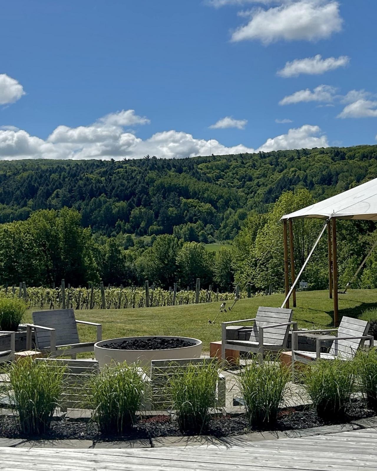 Un patio extérieur pittoresque surplombant un vignoble