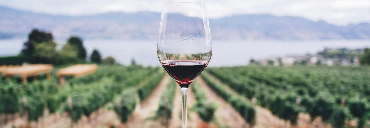 Red wine glass with a vineyard background