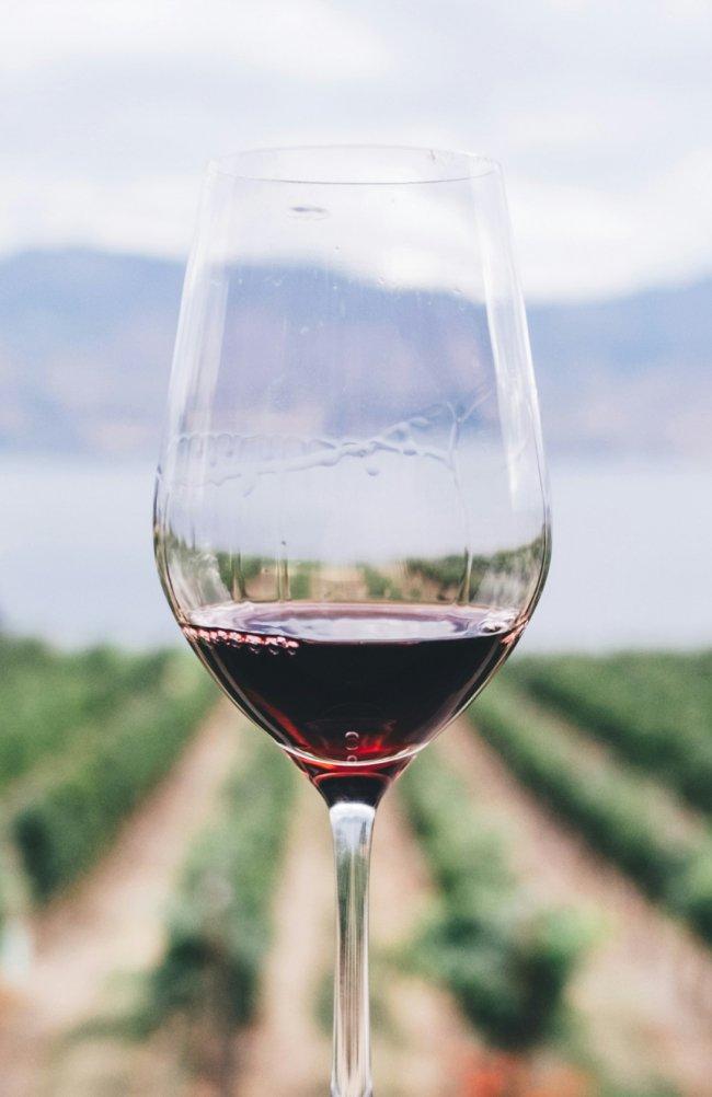 Red wine glass with a vineyard background
