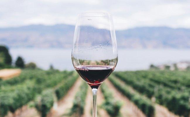 Red wine glass with a vineyard background