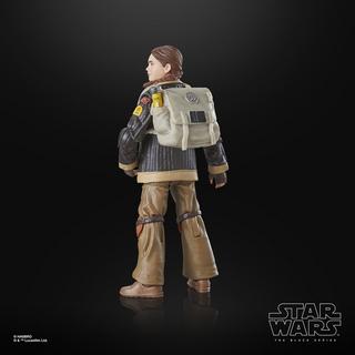 STAR WARS The Black Series Fern