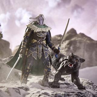 Dungeons & Dragons Forgotten Realms Drizzt & Guenhwyvar