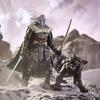 Dungeons & Dragons Forgotten Realms Drizzt & Guenhwyvar