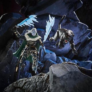 Dungeons & Dragons Forgotten Realms Drizzt & Guenhwyvar (Hasbro Pulse Exclusive)