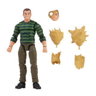 Marvel Legends Series Marvel’s Sandman