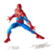 Marvel Legends Series Spider-Man