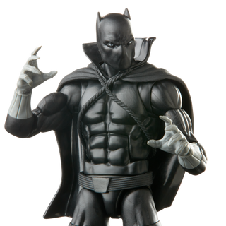 Marvel Legends Series Black Panther