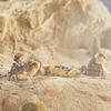 G.I. Joe Classified Series Dusty Action Figure