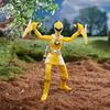 Power Rangers Lightning Collection Dino Thunder Yellow Ranger Figure