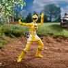 Power Rangers Lightning Collection Dino Thunder Yellow Ranger Figure