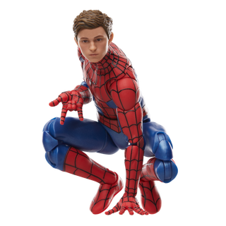 Marvel Legends Series Spider-Man
