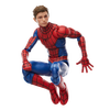 Hasbro Marvel Legends Series Spider-Man