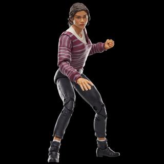 Marvel Legends Series Marvel’s MJ