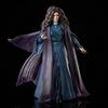 Marvel Legends Series Agatha Harkness