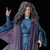 Marvel Legends Series Agatha Harkness