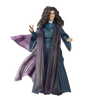 Marvel Legends Series Agatha Harkness
