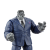 Marvel Legends Series Joe Fixit