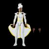 Marvel Legends Series Storm