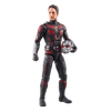 Marvel Legends Series Ant-Man